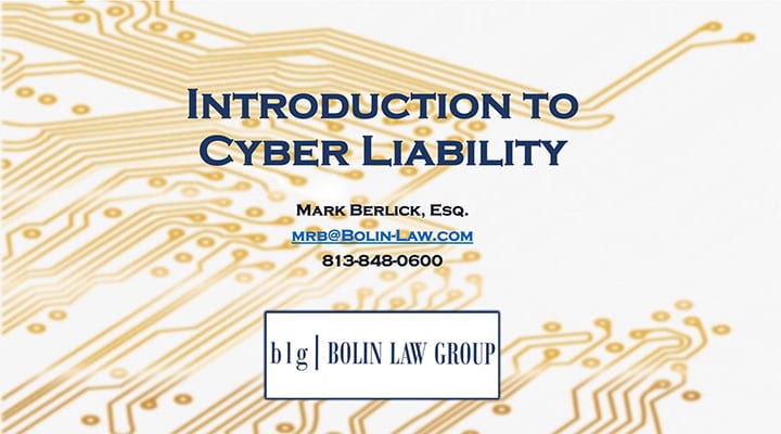 Introduction to cyber liabilities